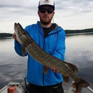 Meet your Posher, Danny